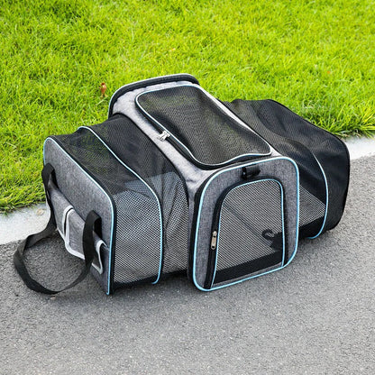Expandable Foldable Pet Carrier for Cats & Small Dogs