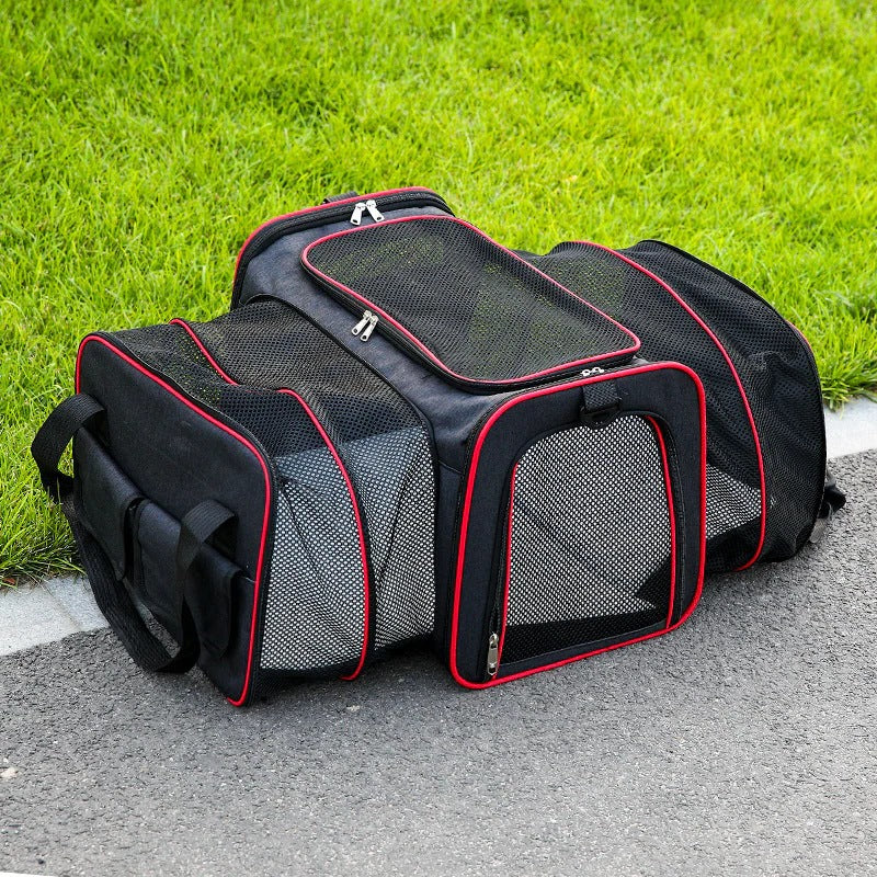 Expandable Foldable Pet Carrier for Cats & Small Dogs