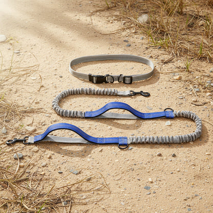 Hands-Free Running Dog Leash with Shock-Absorbing Bungee