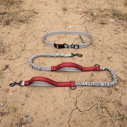 Hands-Free Running Dog Leash with Shock-Absorbing Bungee
