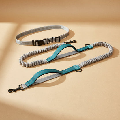 Hands-Free Running Dog Leash with Shock-Absorbing Bungee