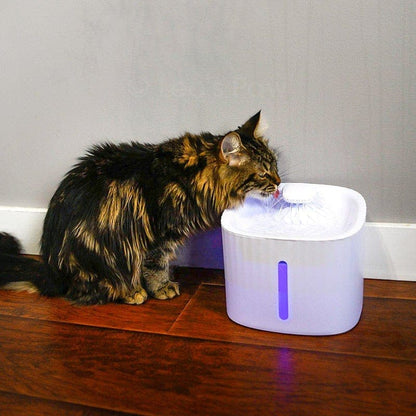 LED Cat Water Fountain