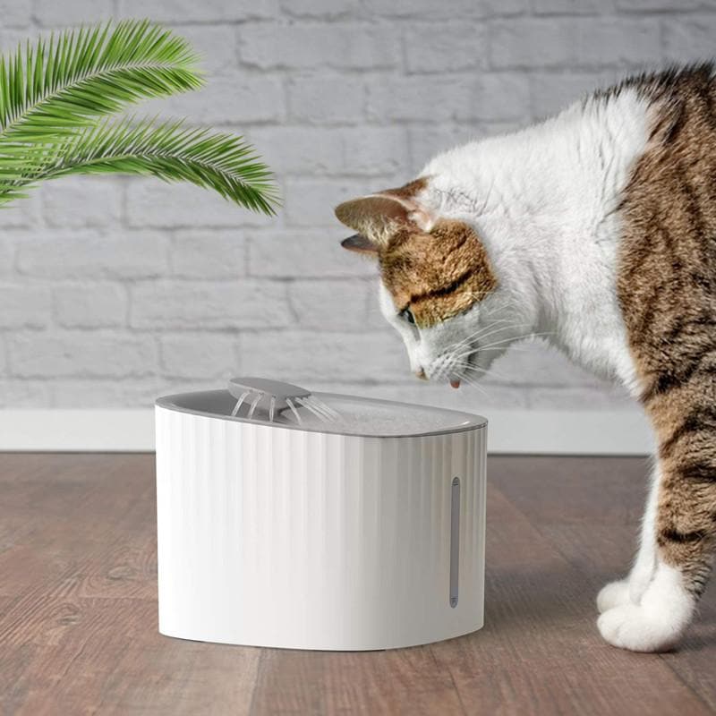 LED Cat Water Fountain