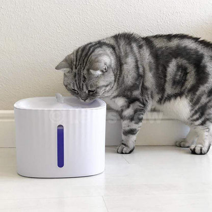 LED Cat Water Fountain