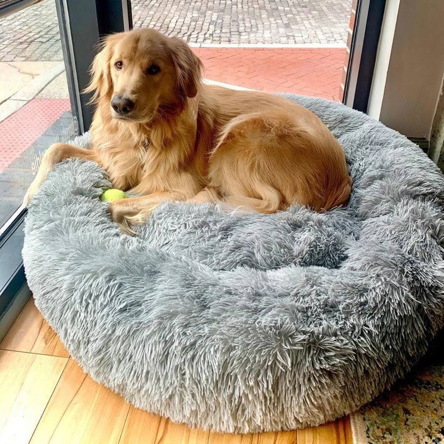 FurGrovers Calming Dog Bed