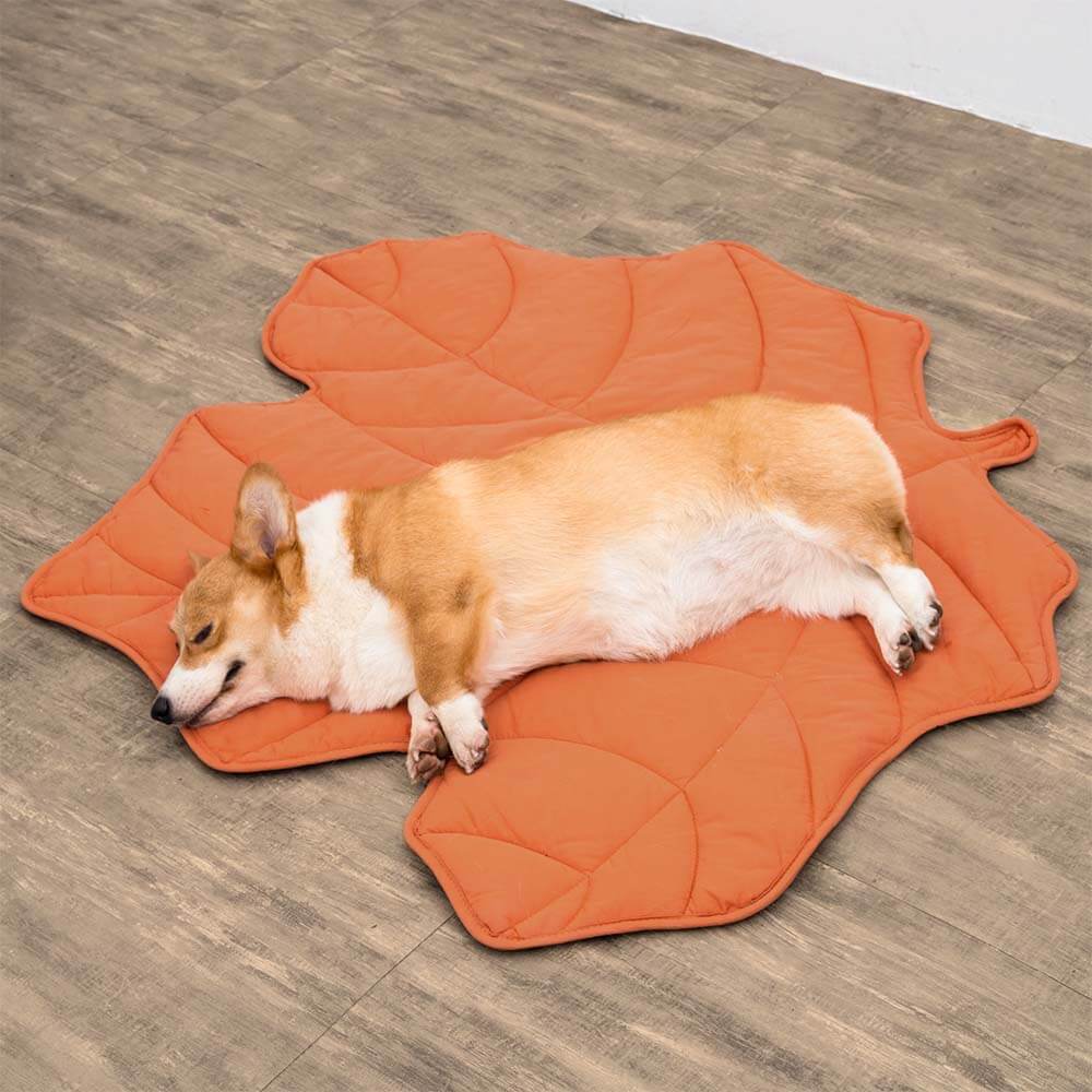 Calming Leaf Shape Dog Blanket