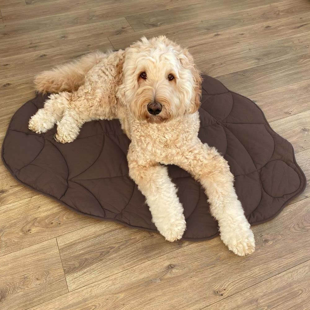 Calming Leaf Shape Dog Blanket