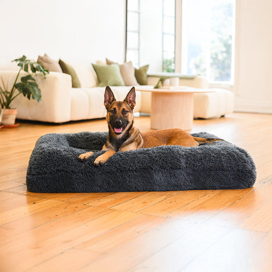 Memory Foam Bolster Dog Bed