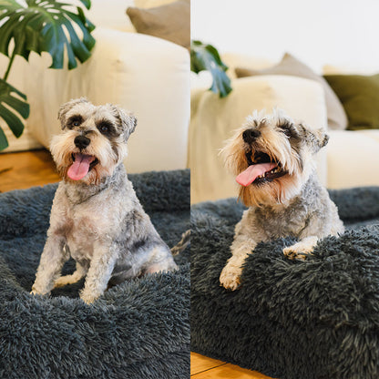 Memory Foam Bolster Dog Bed
