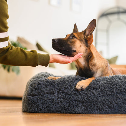 Memory Foam Bolster Dog Bed