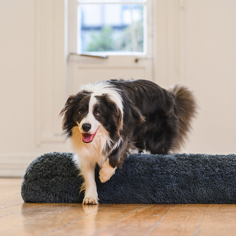 Memory Foam Bolster Dog Bed