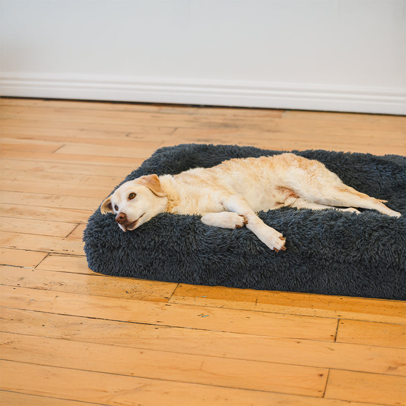 Memory Foam Bolster Dog Bed