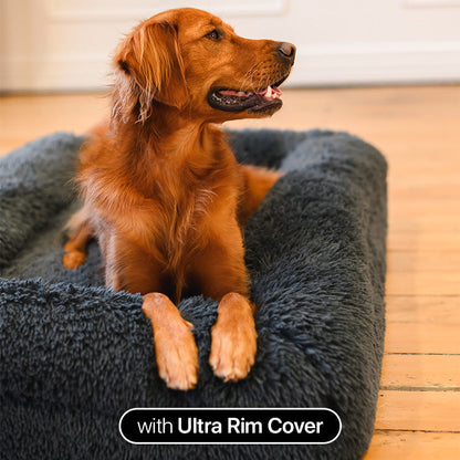 Memory Foam Dog Bed