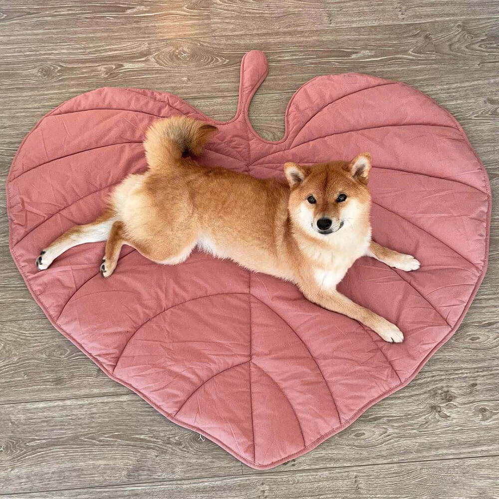 Calming Leaf Shape Dog Blanket