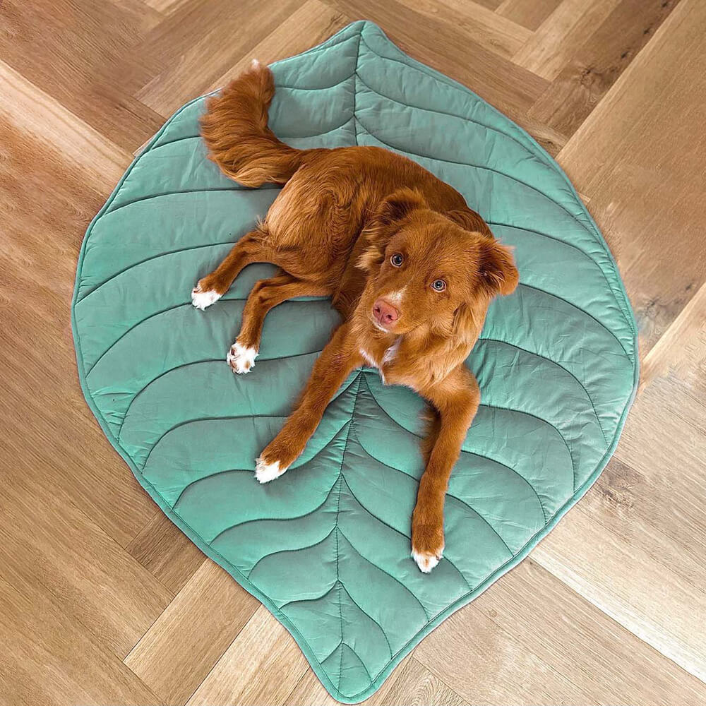 Calming Leaf Shape Dog Blanket