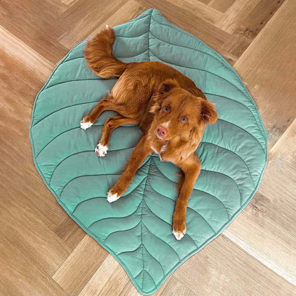 Calming Leaf Shape Dog Blanket