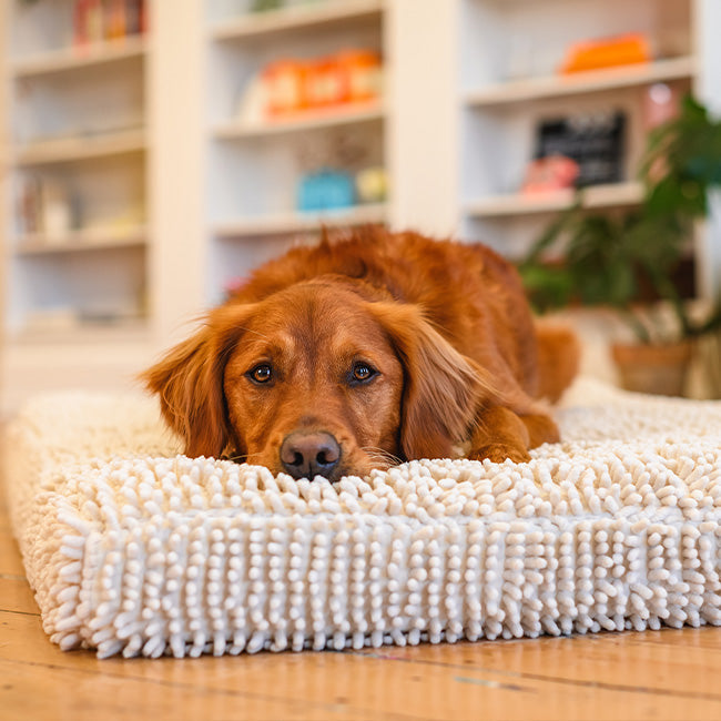 Quick Dry Dog Bed Cover