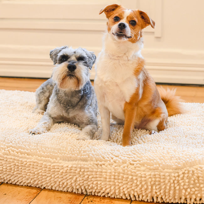 Quick Dry Dog Bed Cover
