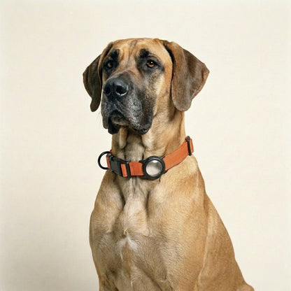 FurGrovers AirTag Dog Collar
