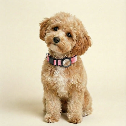 FurGrovers AirTag Dog Collar