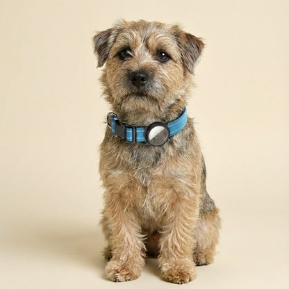 FurGrovers AirTag Dog Collar