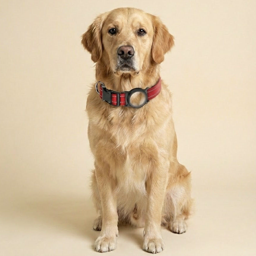 FurGrovers AirTag Dog Collar