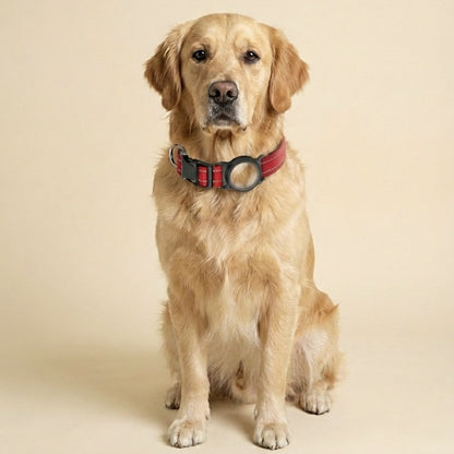 FurGrovers AirTag Dog Collar