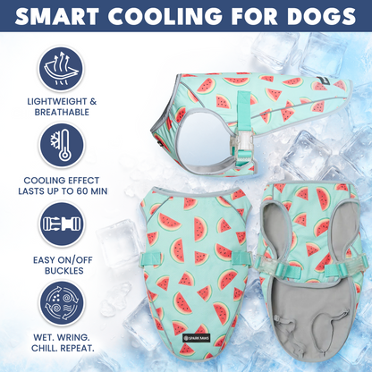 2-Pack Evaporative Dog Cooling Vests