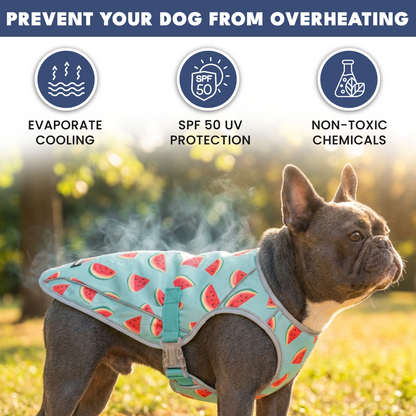 2-Pack Evaporative Dog Cooling Vests